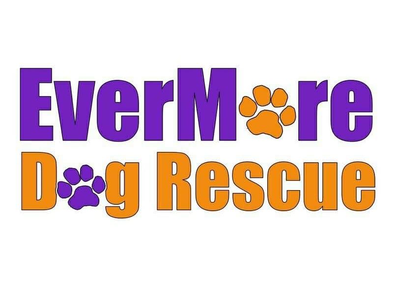 Ever More Dog Rescue